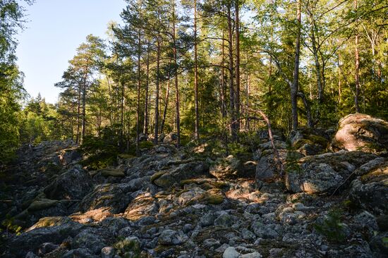 Gogland island in Gulf of Finland