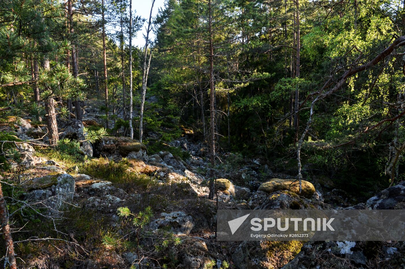 Gogland island in Gulf of Finland