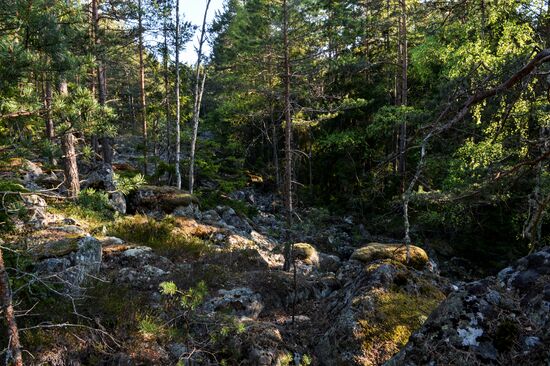 Gogland island in Gulf of Finland