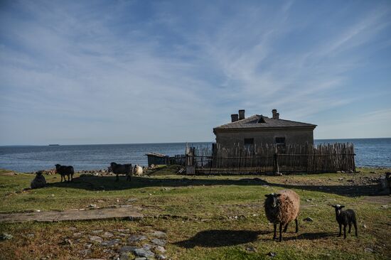 Gogland island in Gulf of Finland