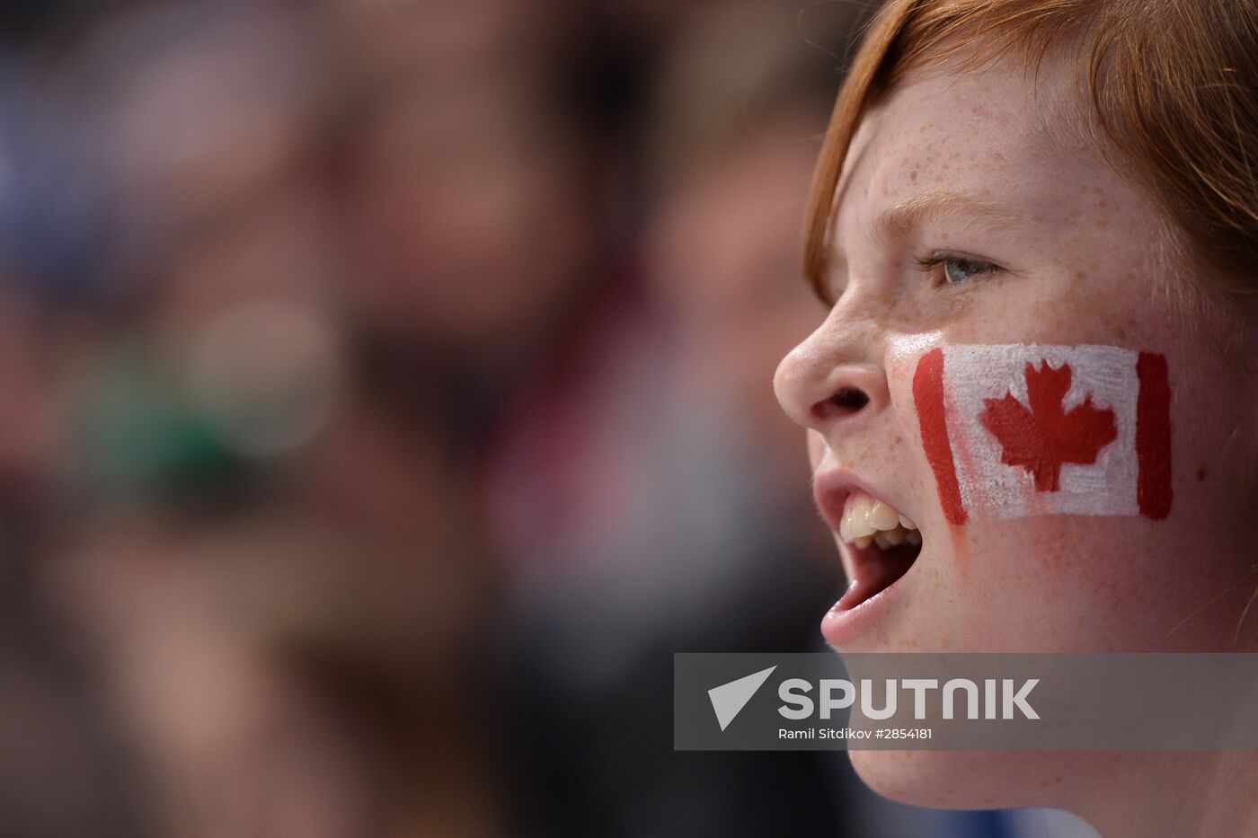 2016 IIHF World Championship. Final match