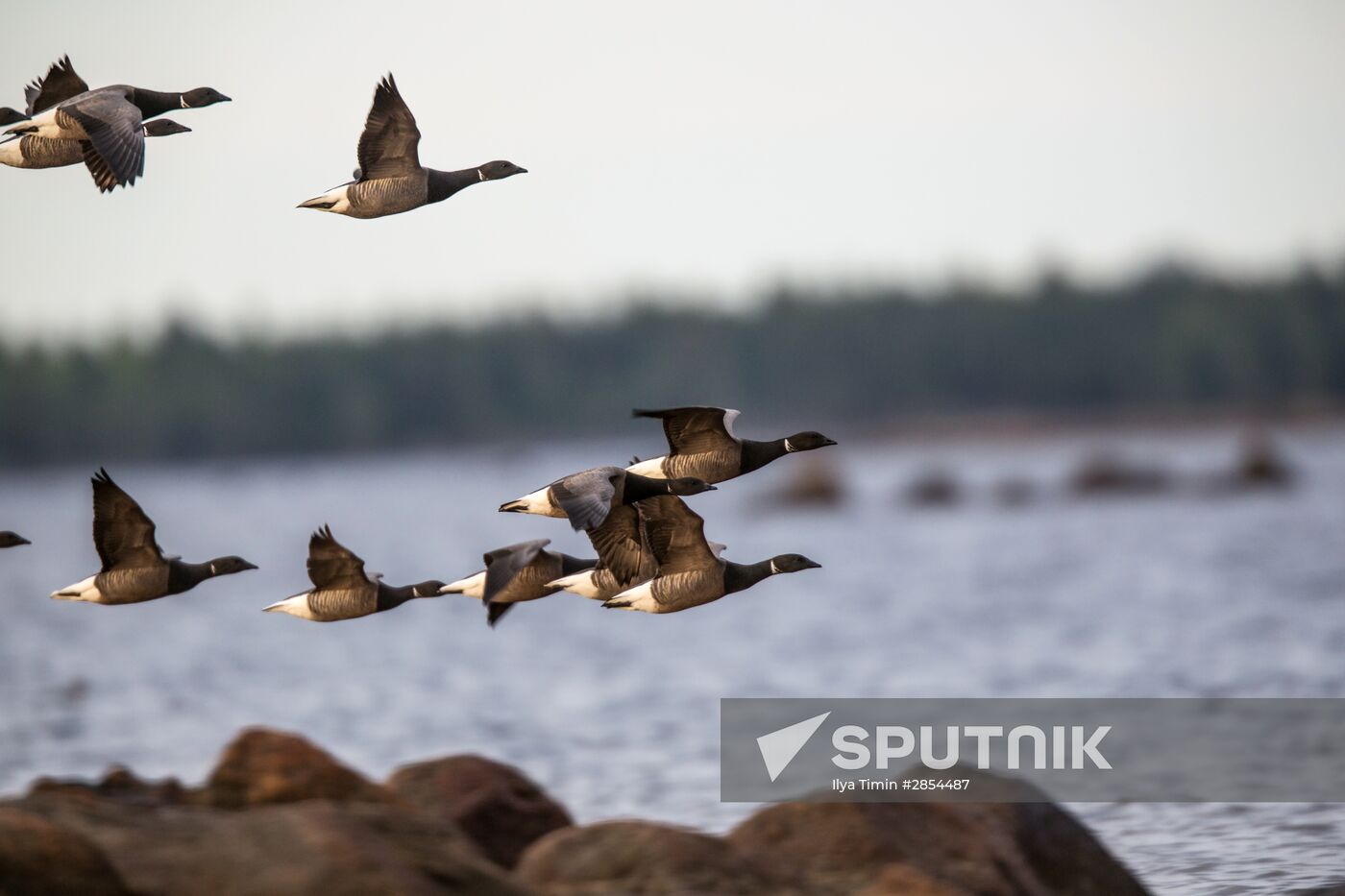 Republic of Karelia. White Sea