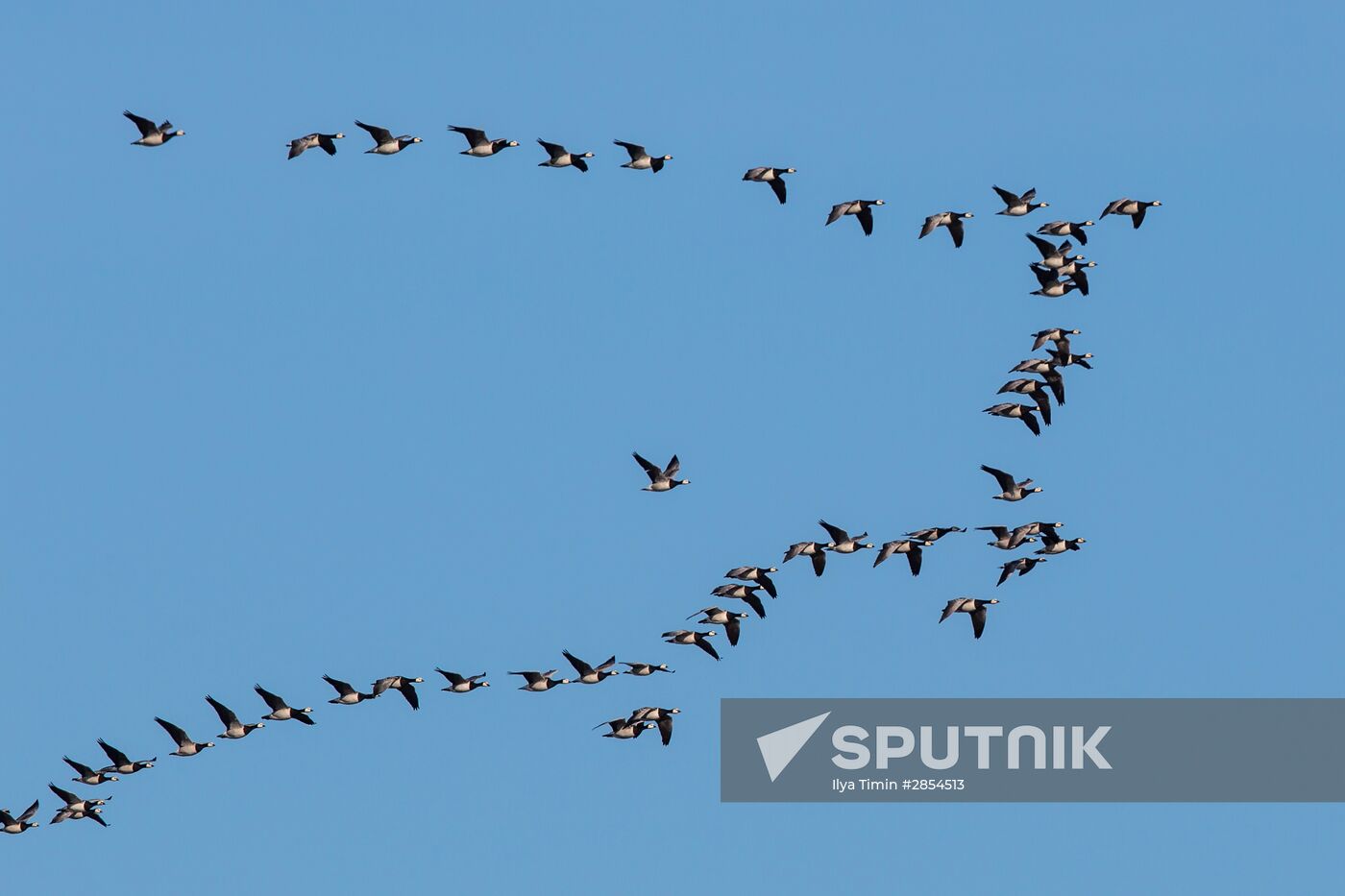 Republic of Karelia. White Sea