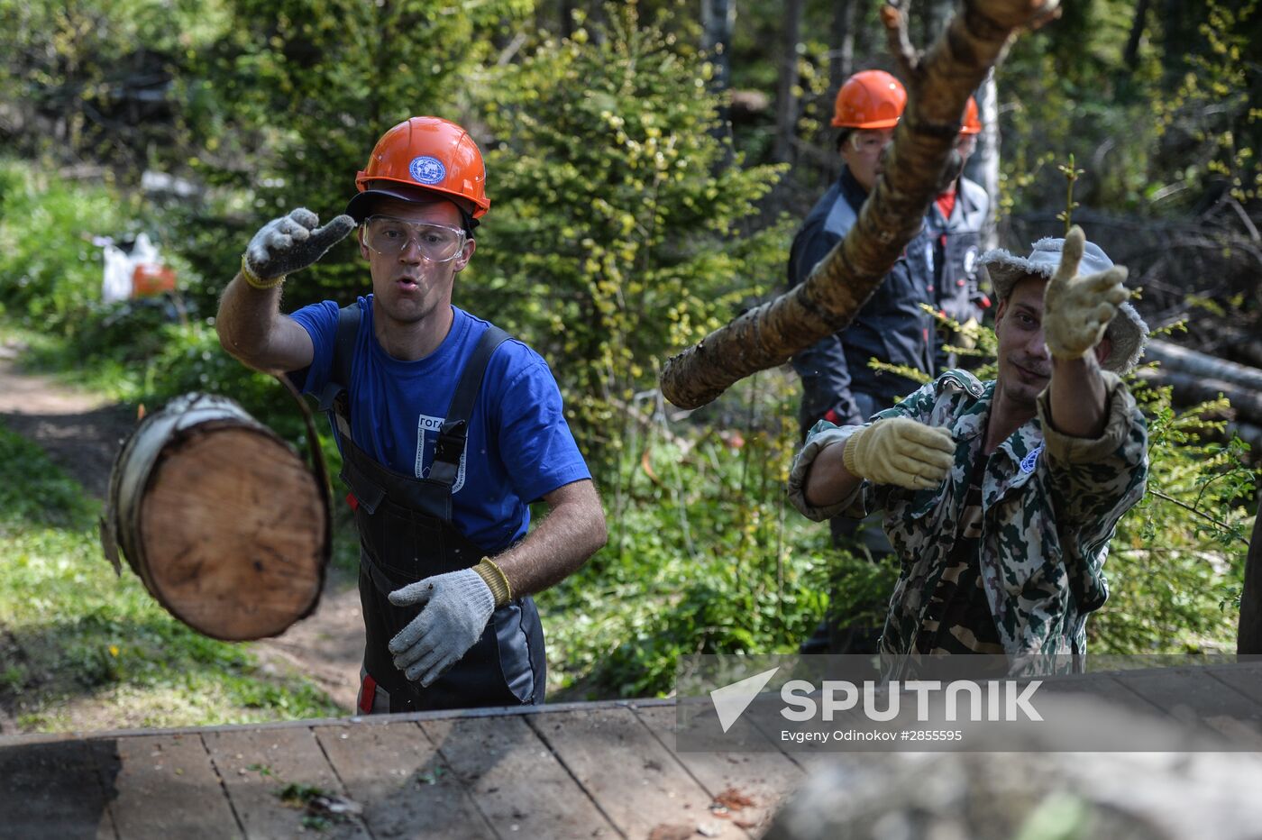 Russian Geographical Society's expedition to Hogland