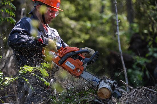 Russian Geographical Society's expedition to Hogland