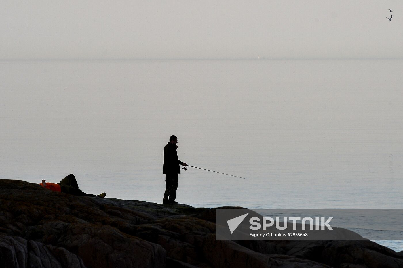 Russian Geographical Society's expedition to Hogland