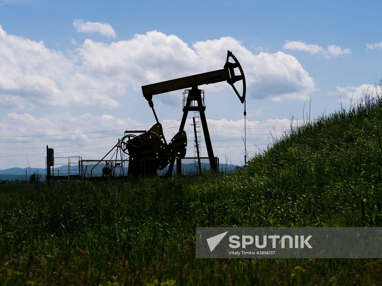 Oil pumpjacks