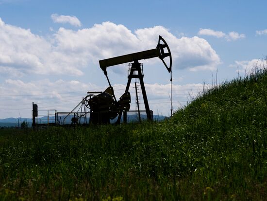 Oil pumpjacks