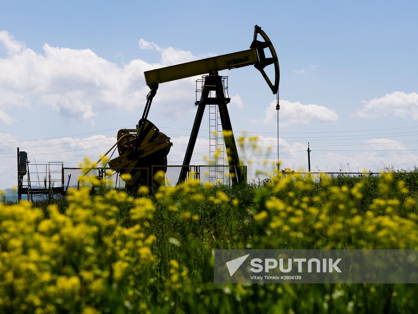Oil pumpjacks