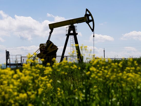 Oil pumpjacks