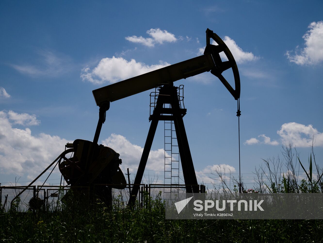 Oil pumpjacks