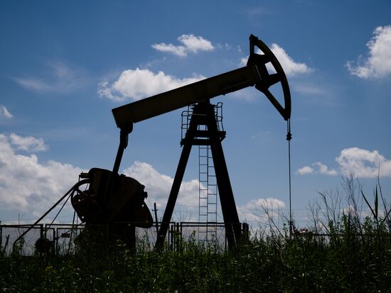 Oil pumpjacks