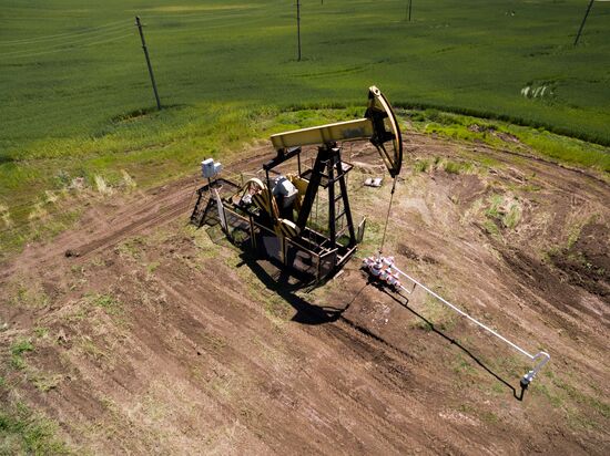 Oil pumpjacks