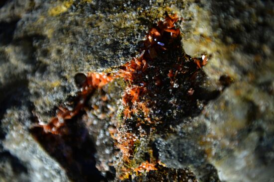 Crocoite deposit in Sverdlovsk Region