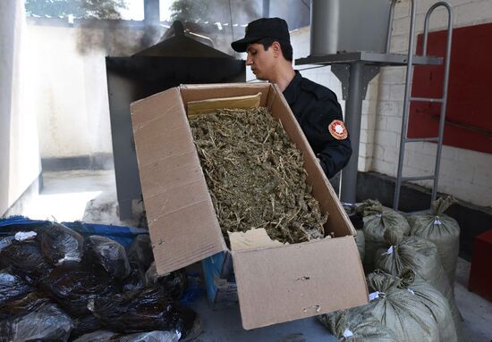 Burning of drugs at Tajikistan's drug control agency