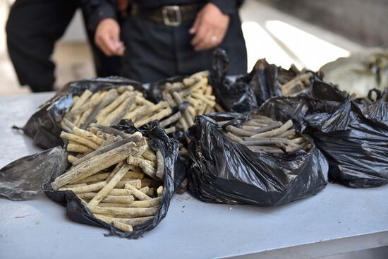 Burning of drugs at Tajikistan's drug control agency
