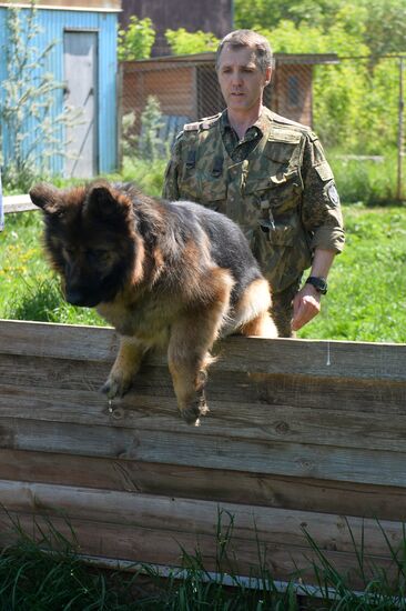 Detector dogs in Tatarstan customs agency