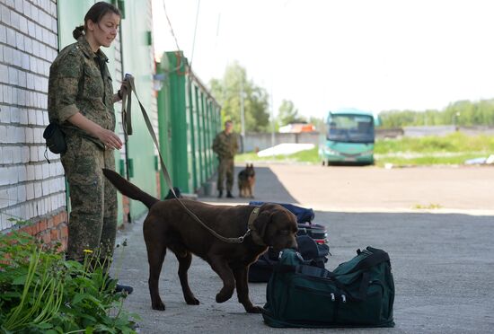 Detector dogs in Tatarstan customs agency