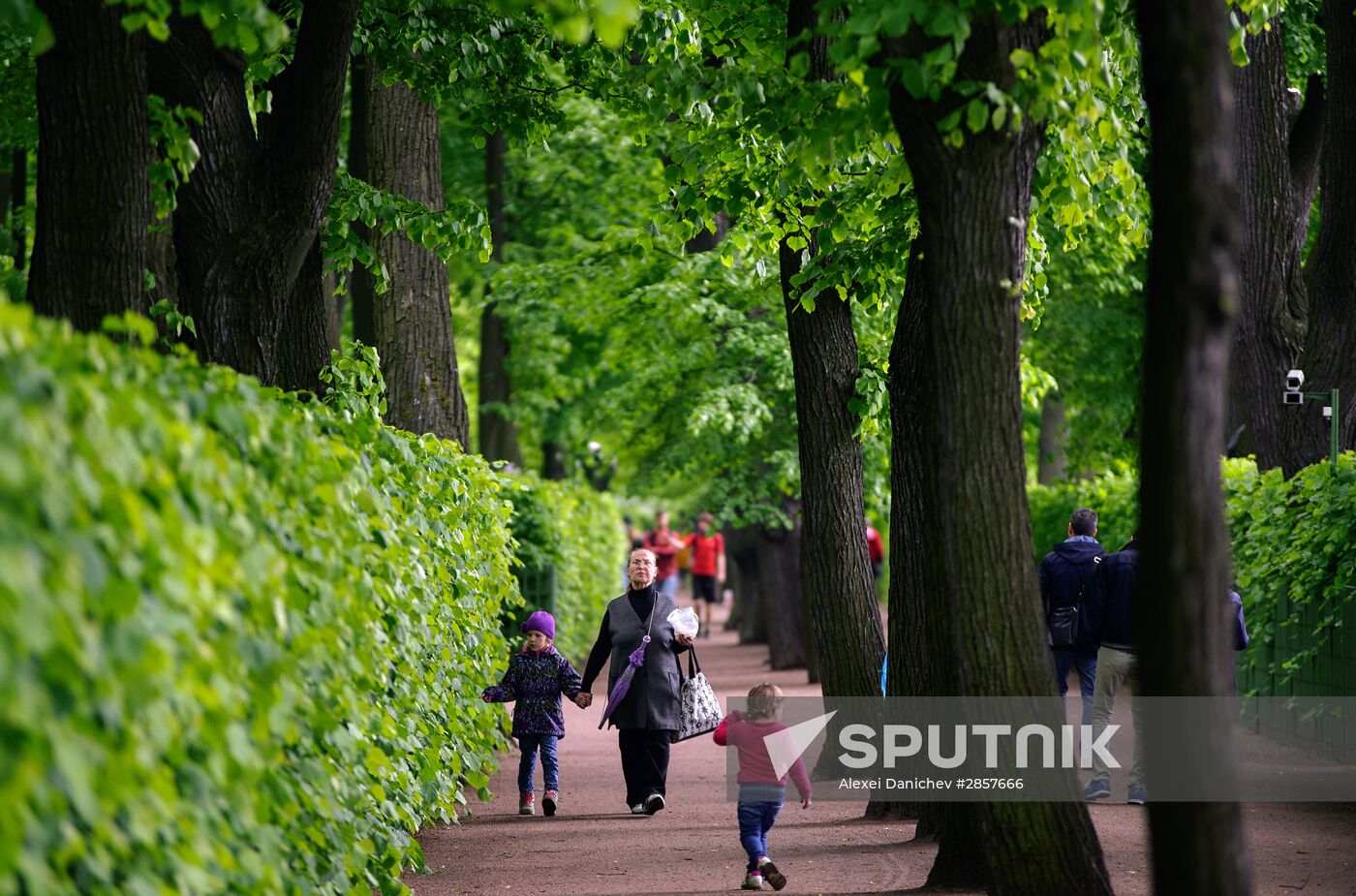 Fountain season launched in St. Petersburg's Summer Garden