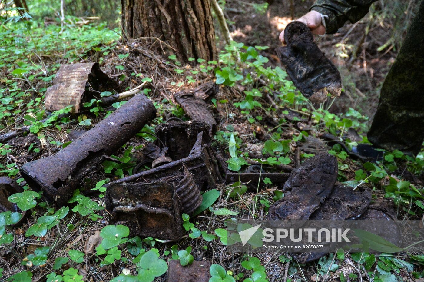 RGS Gogland expedition