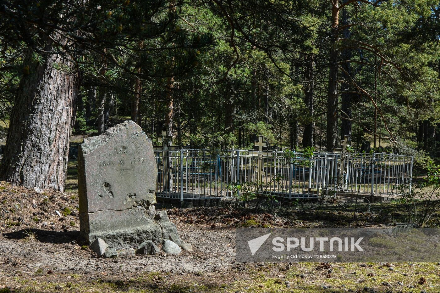 RGS Gogland expedition