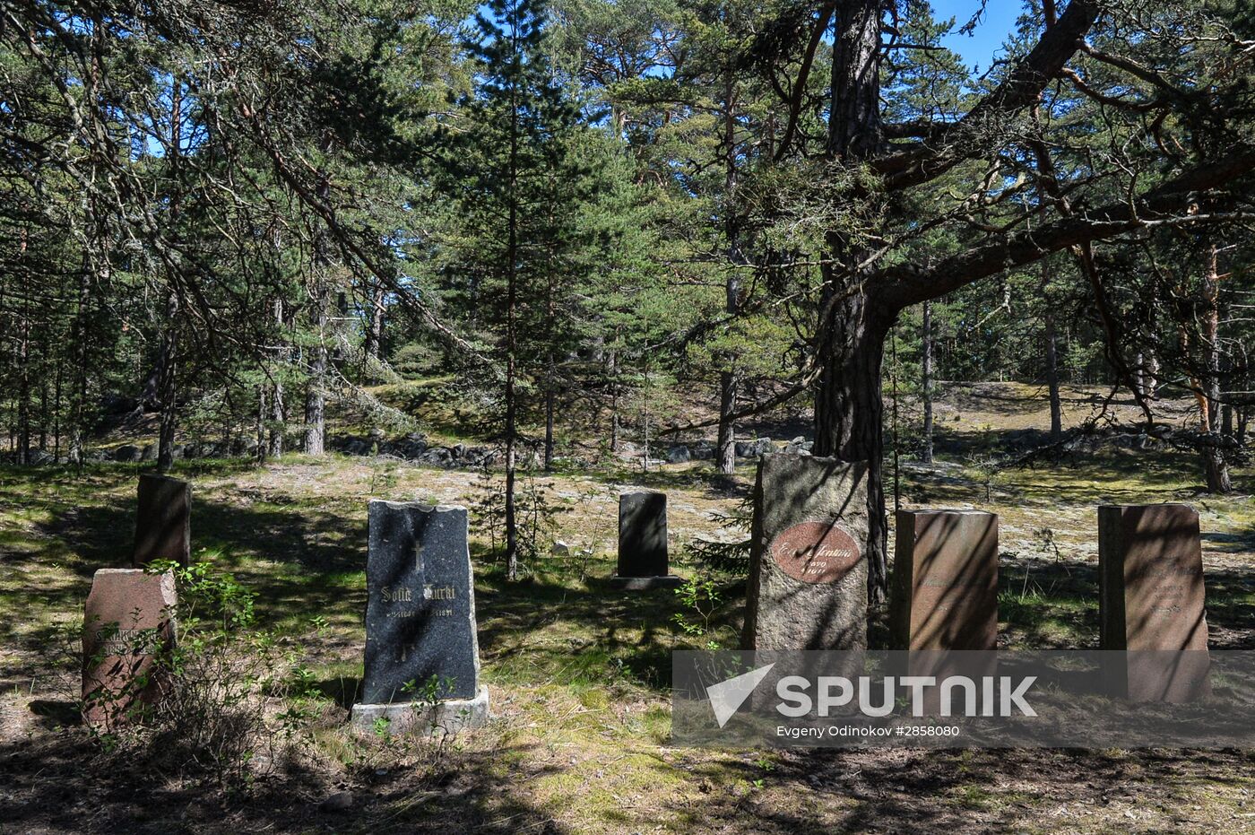 RGS Gogland expedition