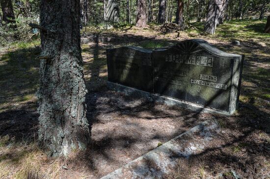 RGS Gogland expedition