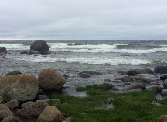 RGS Gogland expedition