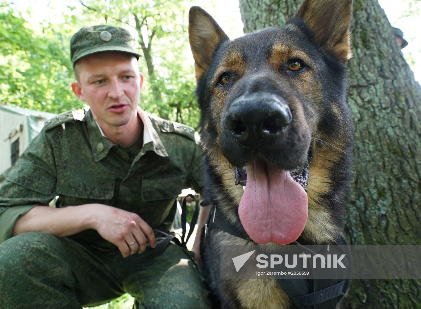 Border Guards' Day celebrated in Russia