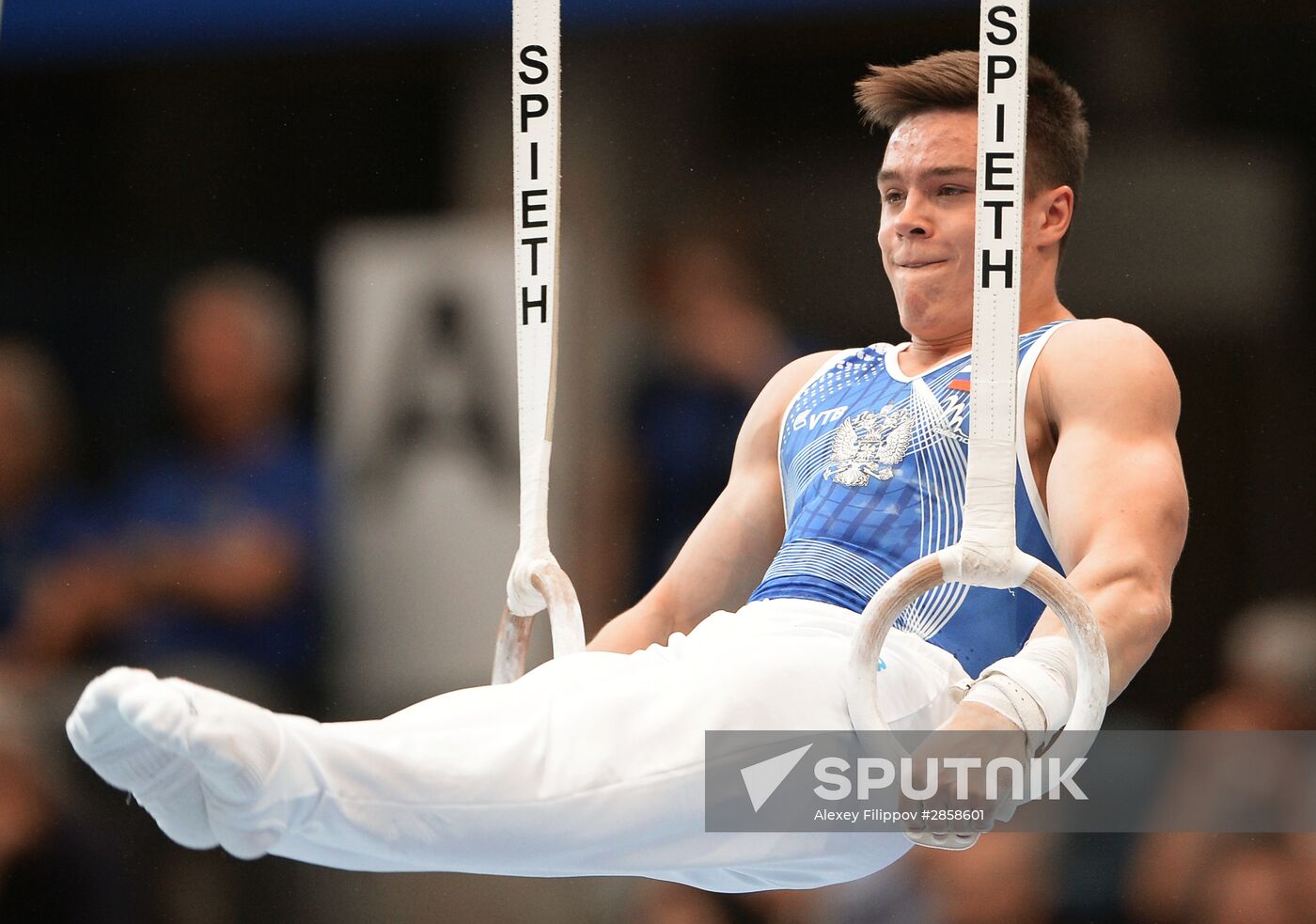 European Men's Artistic Gymnastics Championships. Team final