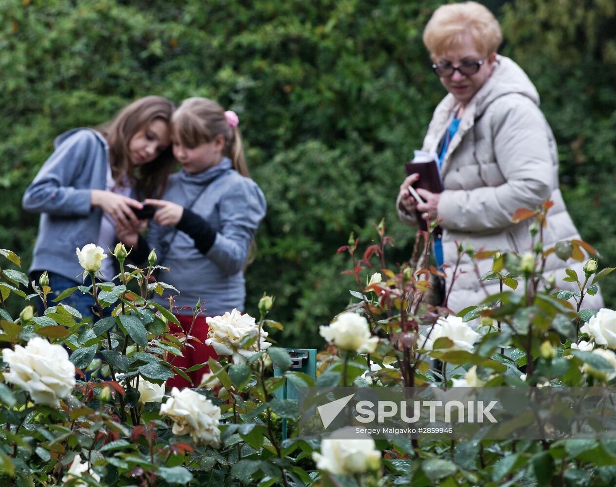 Rose Waltz exhibition in Crimea