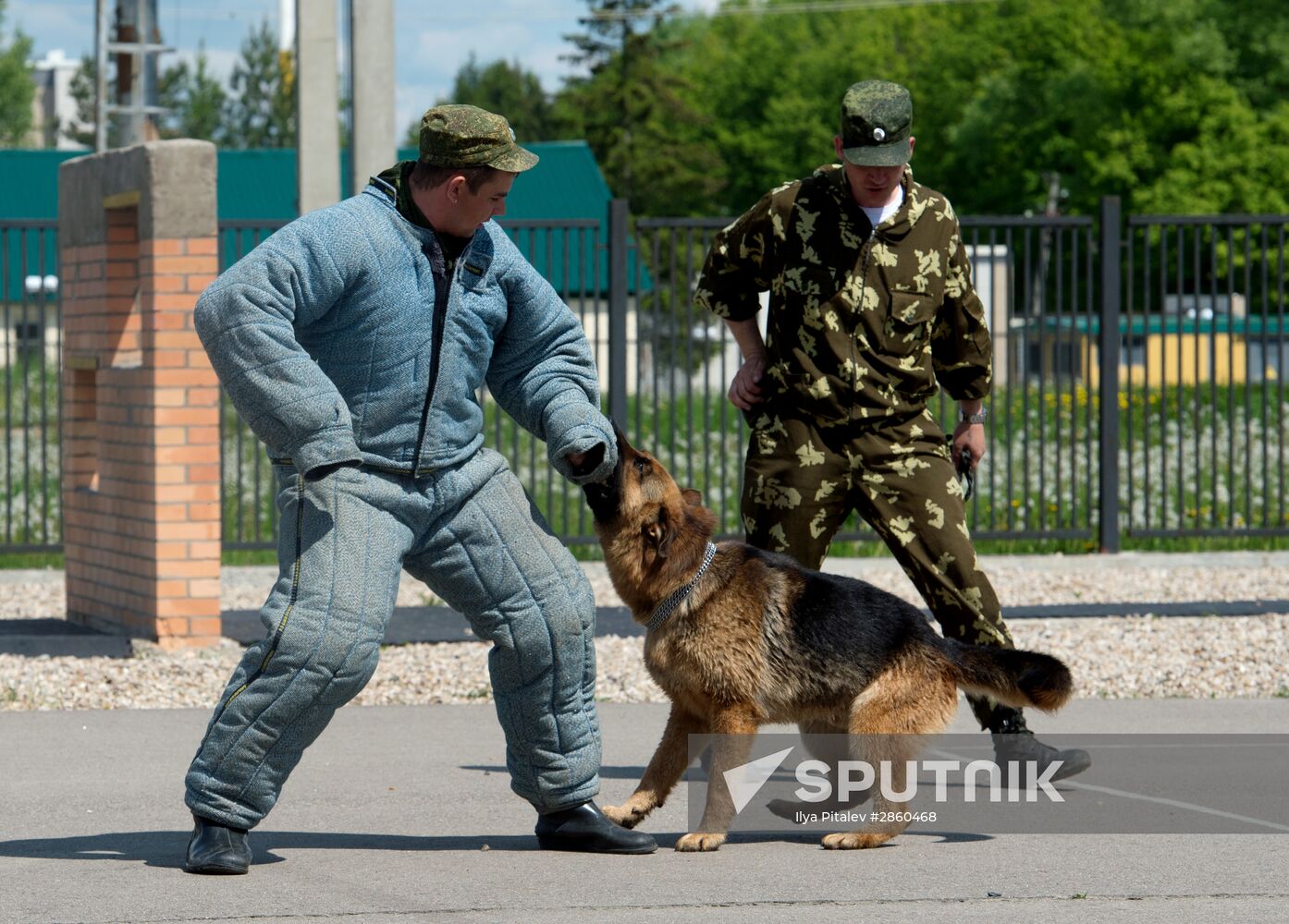 Vyazemsky Canine Center of the Russian Federal Security Service's Border Service, in Smolensk region