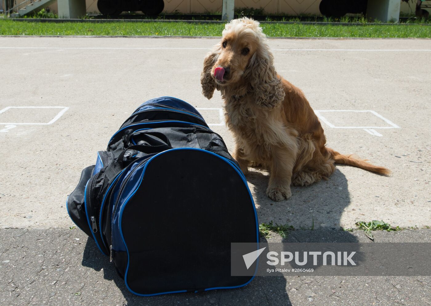 Vyazemsky Canine Center of the Russian Federal Security Service's Border Service, in Smolensk region