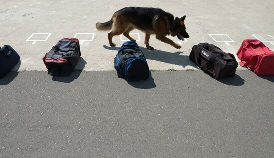 The Vyazma Dog Handling Center of the Russian Federal Security Service's Border Service