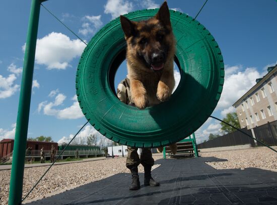Vyazemsky Canine Center of the Russian Federal Security Service's Border Service, in Smolensk region