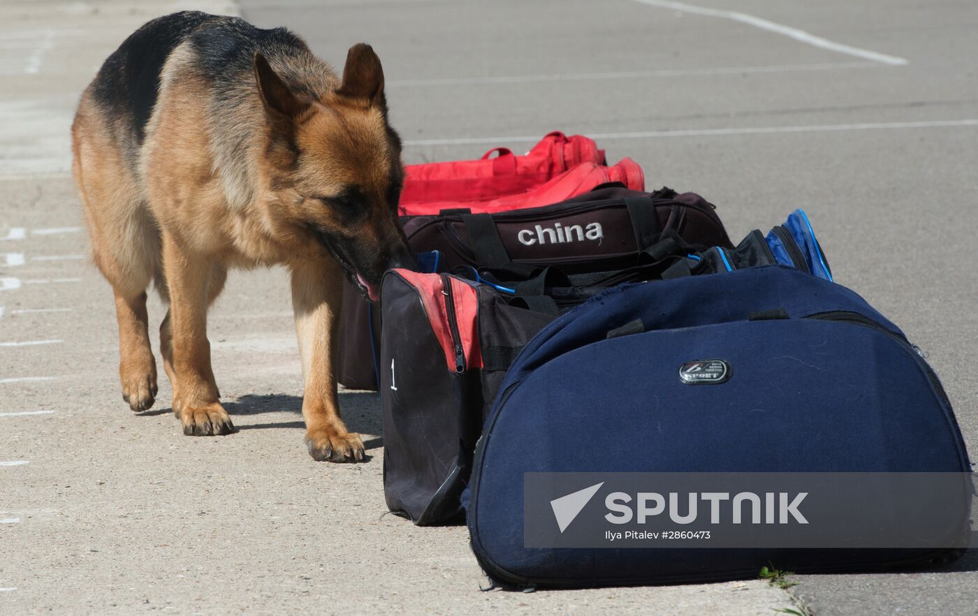 Vyazemsky Canine Center of the Russian Federal Security Service's Border Service, in Smolensk region