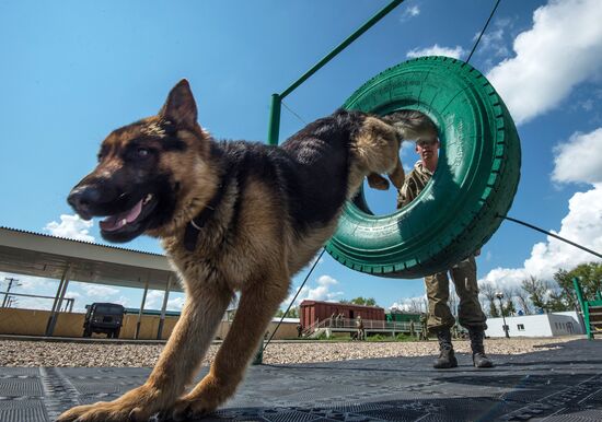 Vyazma Dog Training Center of the Federal Security Service's Border Service