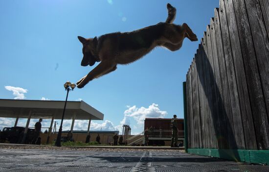 Vyazemsky Canine Center of the Russian Federal Security Service's Border Service, in Smolensk region