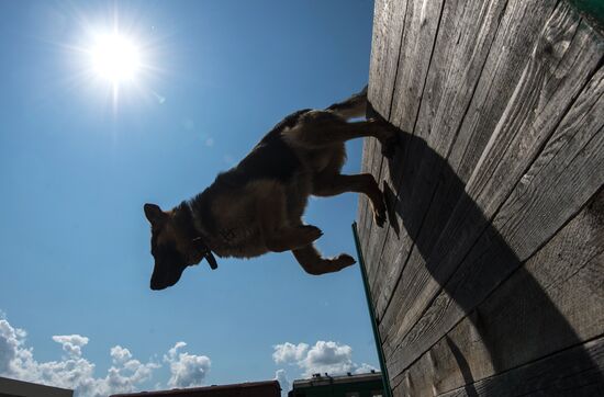 Vyazemsky Canine Center of the Russian Federal Security Service's Border Service, in Smolensk region