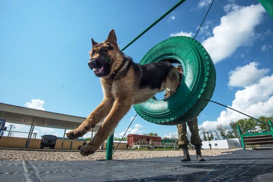 Vyazemsky Canine Center of the Russian Federal Security Service's Border Service, in Smolensk region