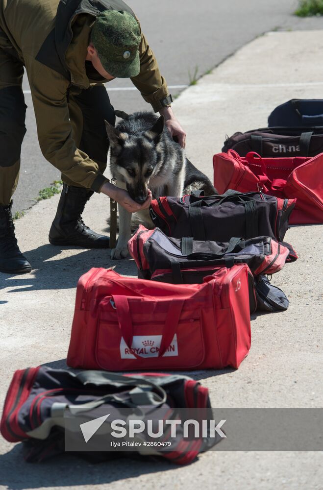 Vyazemsky Canine Center of the Russian Federal Security Service's Border Service, in Smolensk region