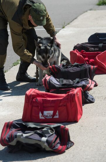 Vyazemsky Canine Center of the Russian Federal Security Service's Border Service, in Smolensk region