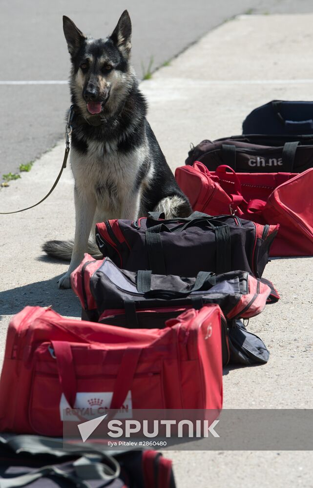 Vyazemsky Canine Center of the Russian Federal Security Service's Border Service, in Smolensk region