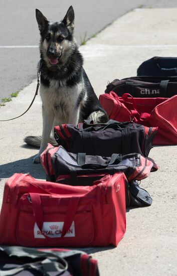 Vyazemsky Canine Center of the Russian Federal Security Service's Border Service, in Smolensk region