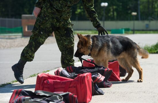 Vyazemsky Canine Center of the Russian Federal Security Service's Border Service, in Smolensk region