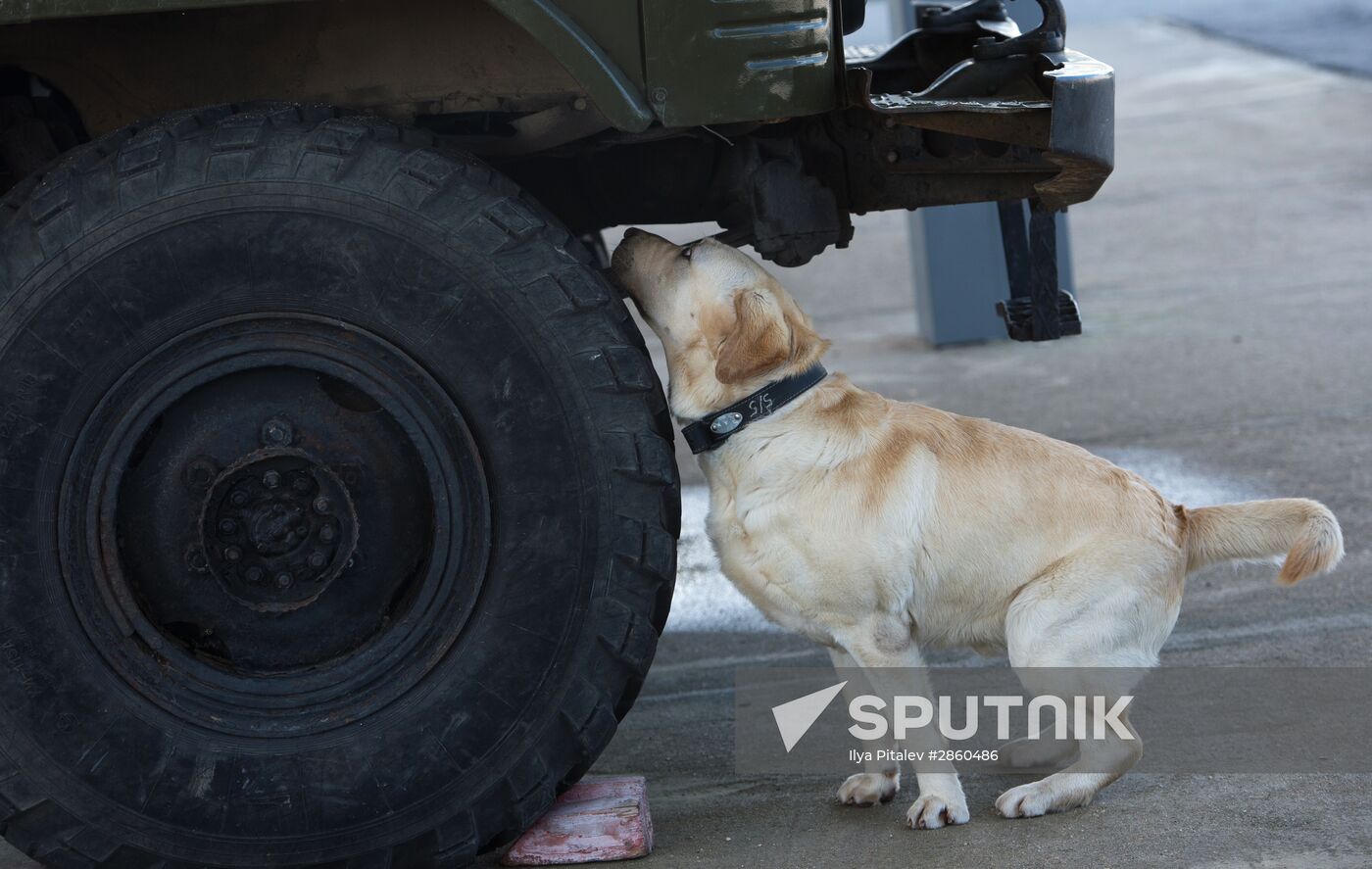 Vyazemsky Canine Center of the Russian Federal Security Service's Border Service, in Smolensk region