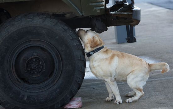 Vyazemsky Canine Center of the Russian Federal Security Service's Border Service, in Smolensk region