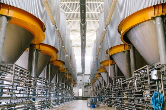 AB InBev brewery in Ivanovo Region