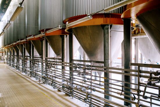 AB InBev brewery in Ivanovo Region