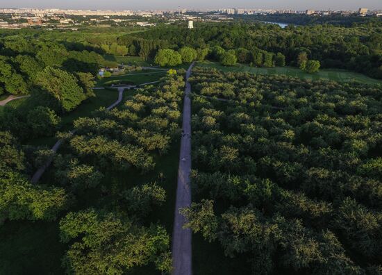 Kolomenskoye Museum and Nature Reserve